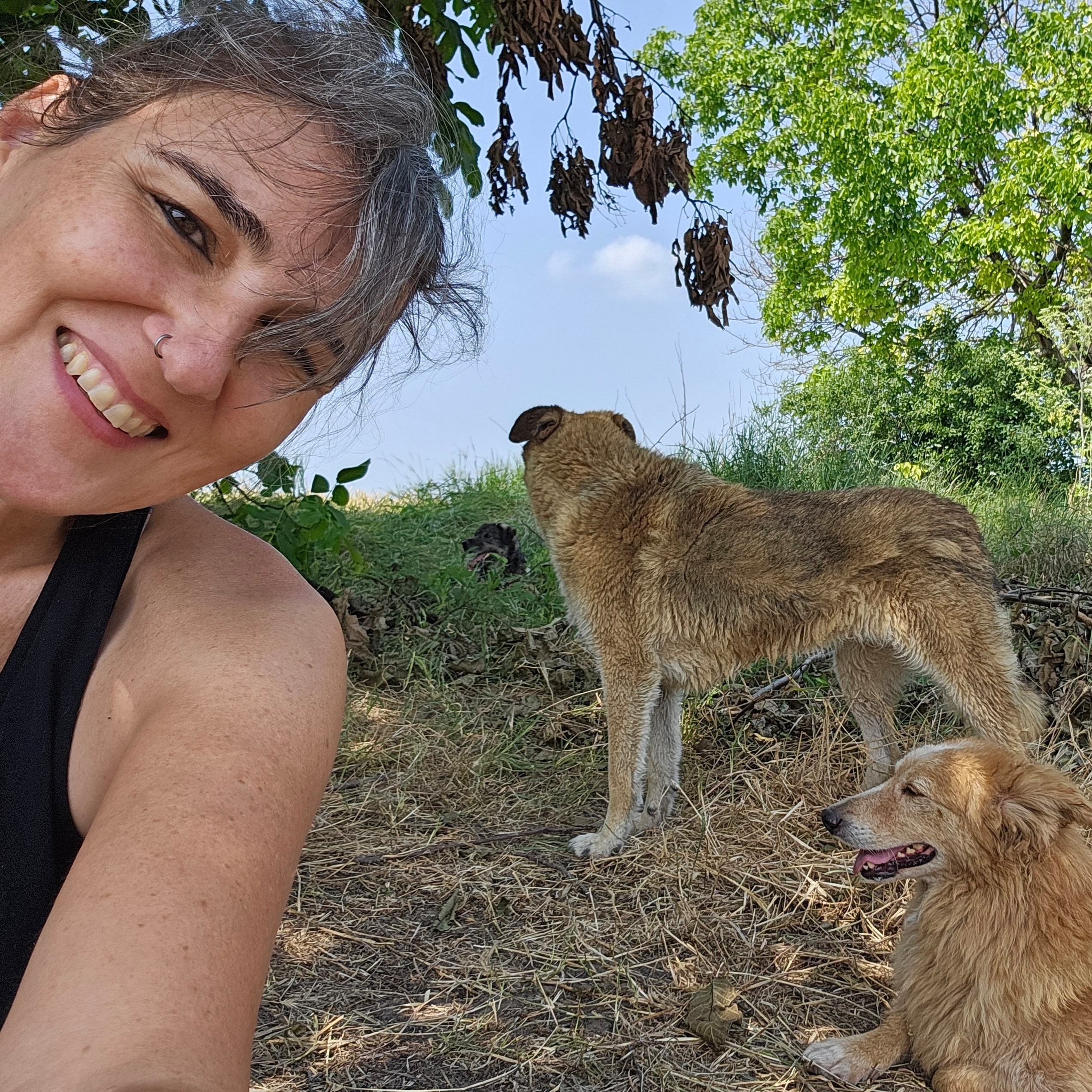 Alex im Asyl Juni 2025