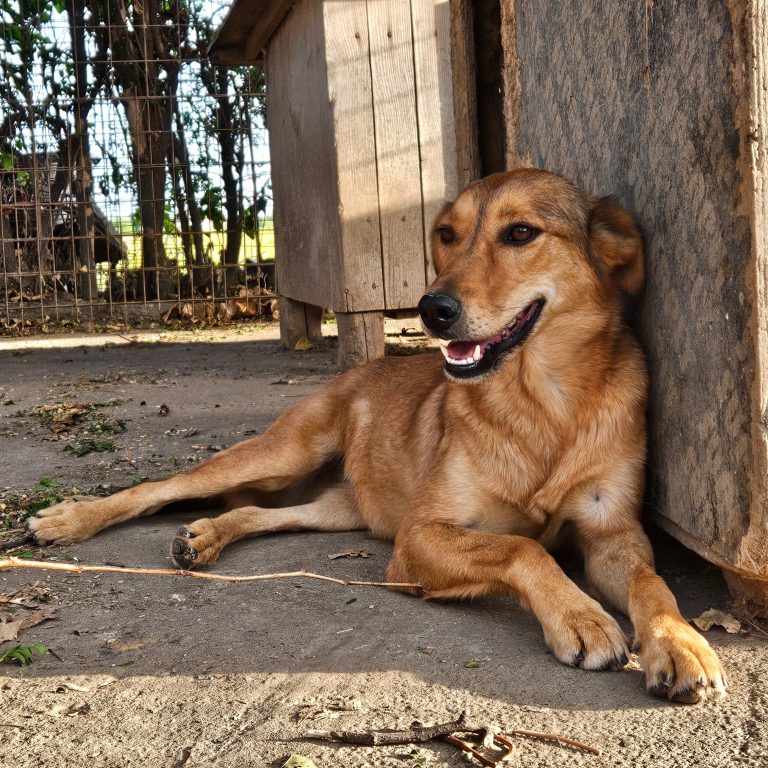 Mati