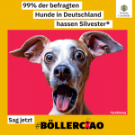 Aktionsbündnis #Böllerciao 💥