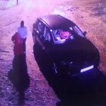 Ausgesetzt – Hund wird wie Müll entsorgt