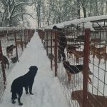 ☃️ Winter 2025/26 im RISKA ❄️ 🌨️