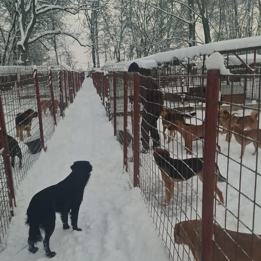 ☃️ Winter 2025/26 im RISKA ❄️ 🌨️