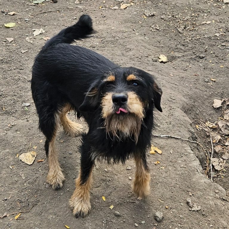 Max
