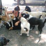 Nika sitzt auf dem Boden im Asyl Riska in Belgrad/Serbien. Sie kuschelt mit Hunden des Tierheims.