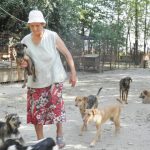Rada trägt einen Welpen auf dem Arm im Asyl Riska in Belgrad/Serbien. Einige Hunde des Tierheims folgen ihr