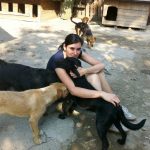 Alex im asyl Riska in Belgrad/Serbien zusammen mit mehreren Hunden