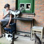 Alex im Katzentierheim mit verschiedenen Katzen