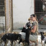 Alex im asyl Riska in Belgrad /Serbien mit Hunden im Tierheim