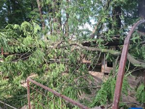 Beschädigter Zaun nach einem umgestürzten Baum im Tierheim