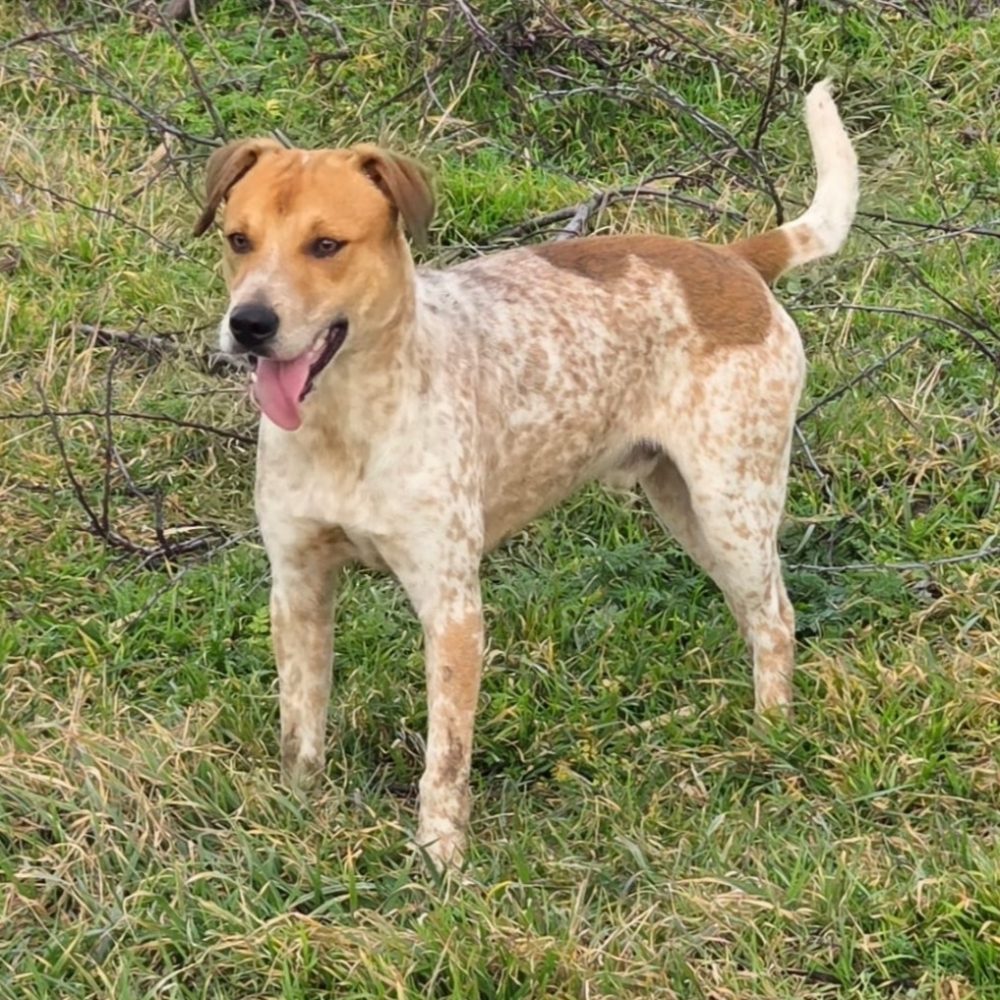 #Mausemann #Fridolin (3)-edit-20260410174132